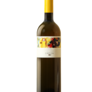 Fortuna vini pinot grigio